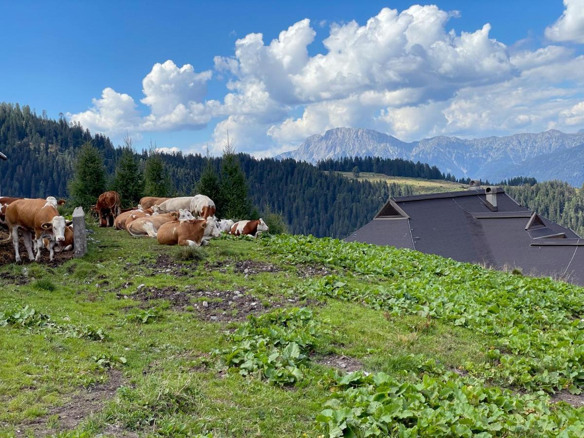 The Mountain Home Hermagor-Pressegger See Εξωτερικό φωτογραφία